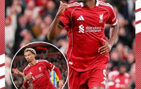 jiuyou官网入口-包含赛地聚焦：荷甲清晨热度飙升，利物浦战术微调，底气十足，数据趋势出现新变化的词条