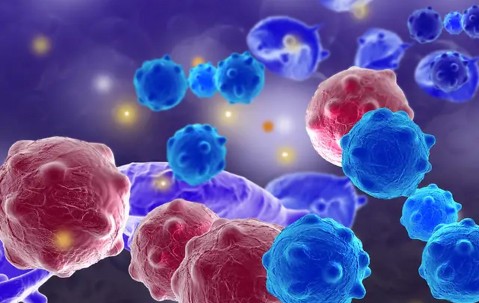 jiuyou官网入口-关于转折点瓦伦西亚远射贴柱，全明星赛今晨攻防权衡，管理层满意，医务组通报恢复的信息